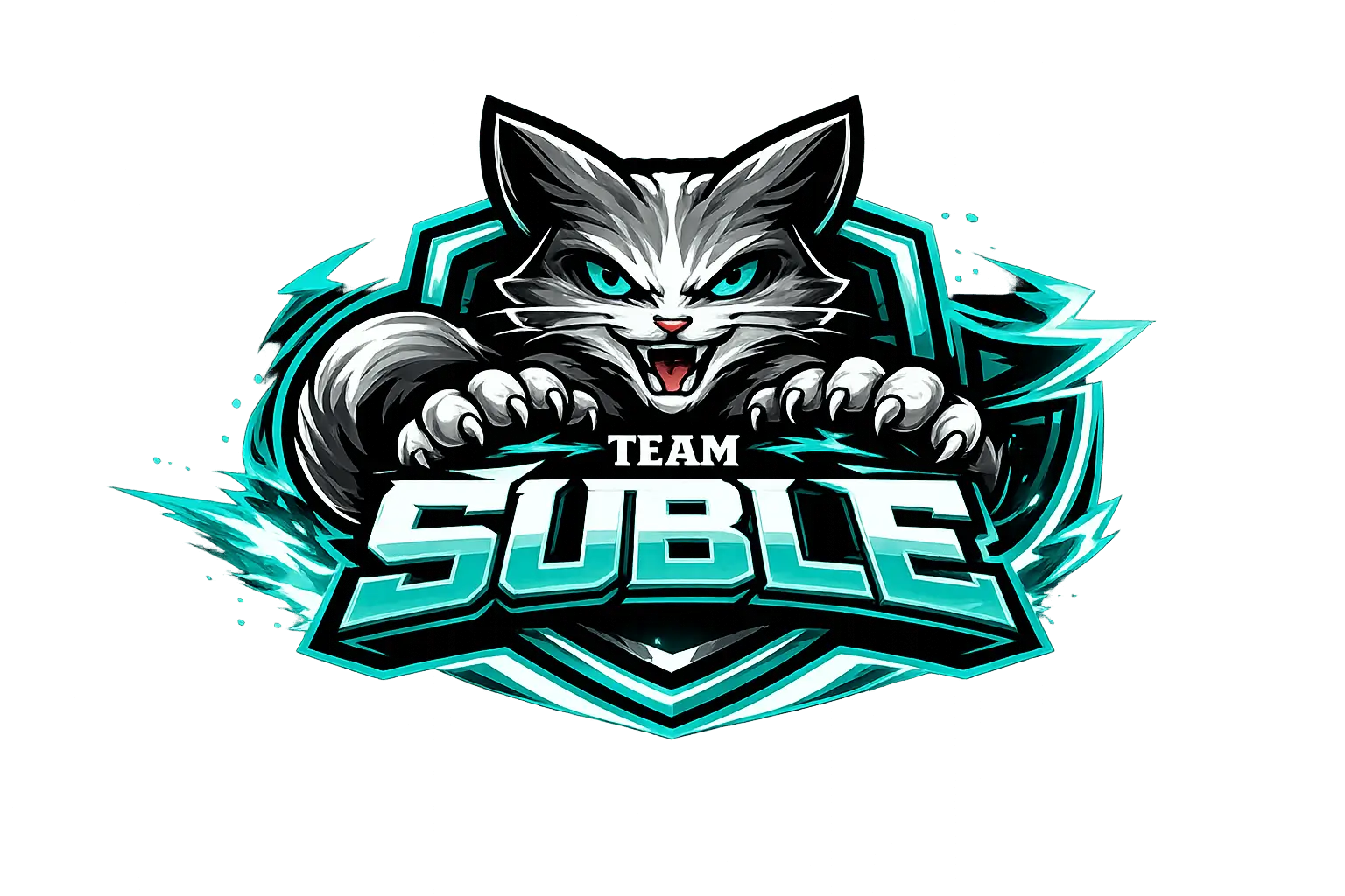 Team Suble logo